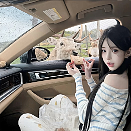 CY-慧子