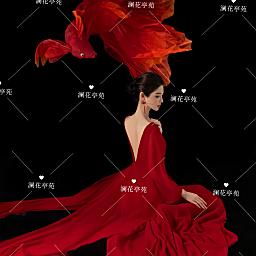 澜花亭苑—众赢新厅