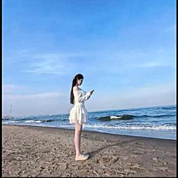 豆鲨包贺哦哦总升大傅