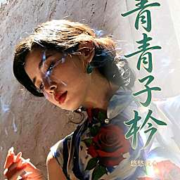 青青子衿💞众赢新厅
